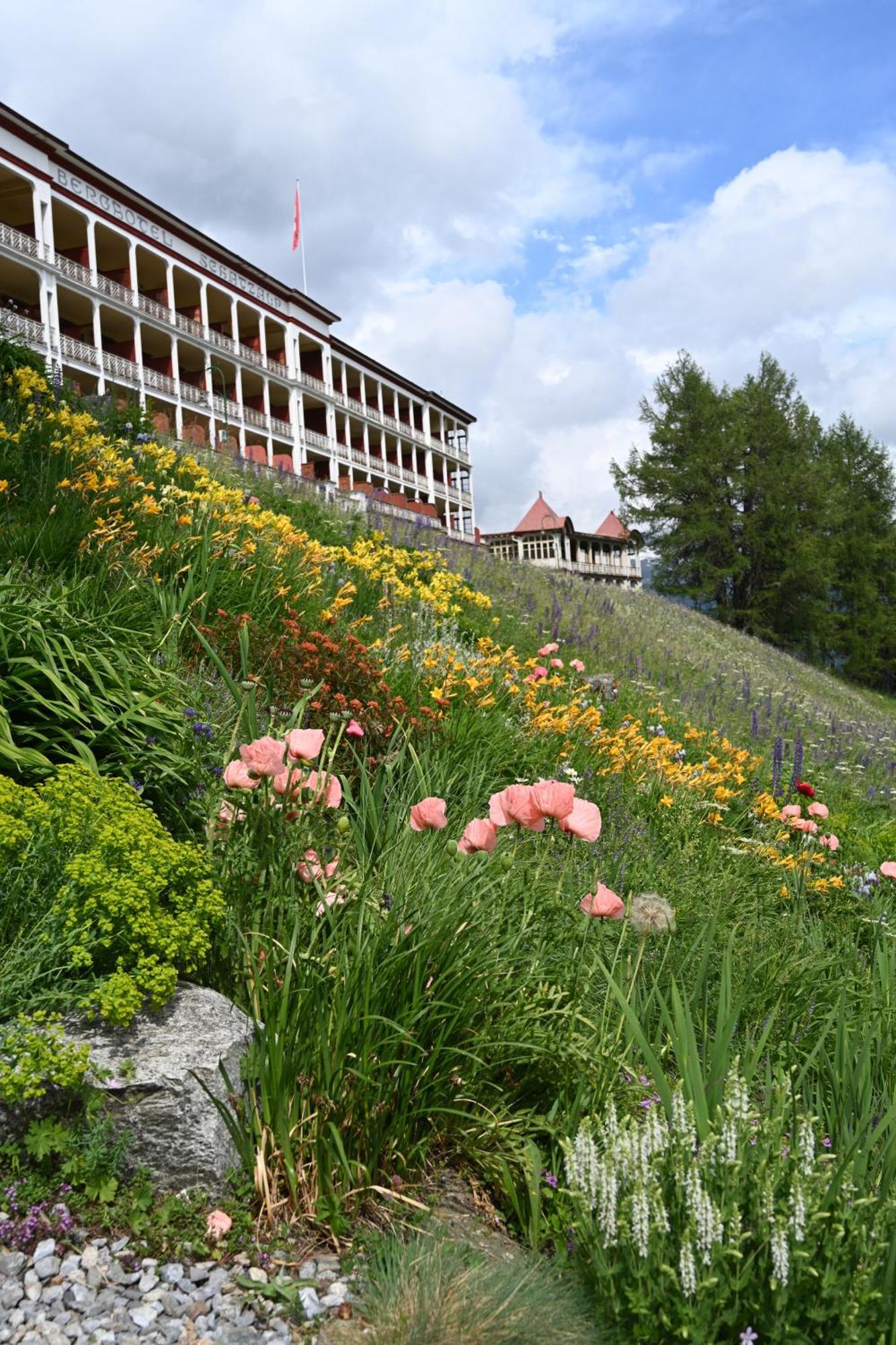 Schatzalp Hotel Давос Экстерьер фото